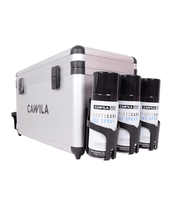 Cawila Liga Sanitätskoffer 520x250x300 mm Silber - silber