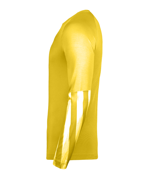 Nike Park V Trikot langarm Gelb F718 - gelb