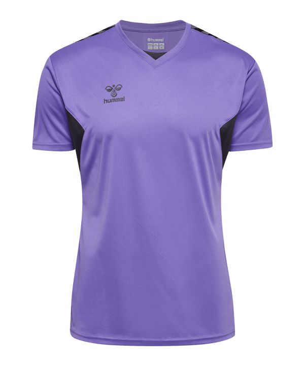 Hummel AUTHENTIC PL Trikot Grau F3766 - grau
