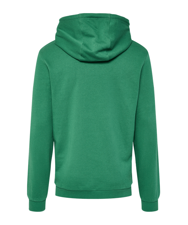 Hummel hmlLGC Gabe Hoody Grün F6110 - gruen
