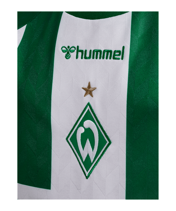 hummel SV Werder Bremen Shirt Home 2026/2027 Kinderen Groen K6839 - groen