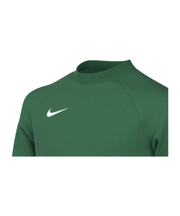 Nike Park VIII Trikot langarm Kids Grün F302 - gruen