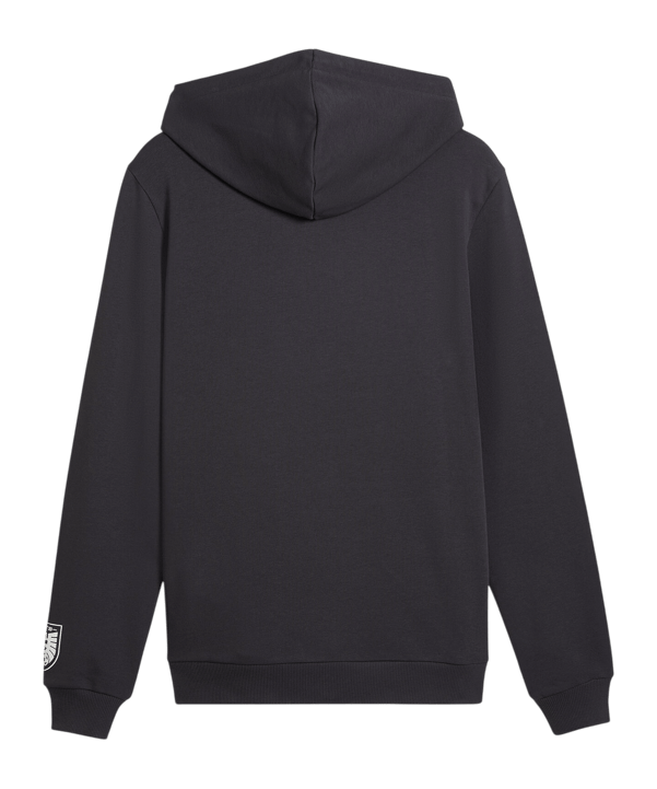 PUMA ÖFB Österreich FtblCulture Hoody Grau F25 - grau