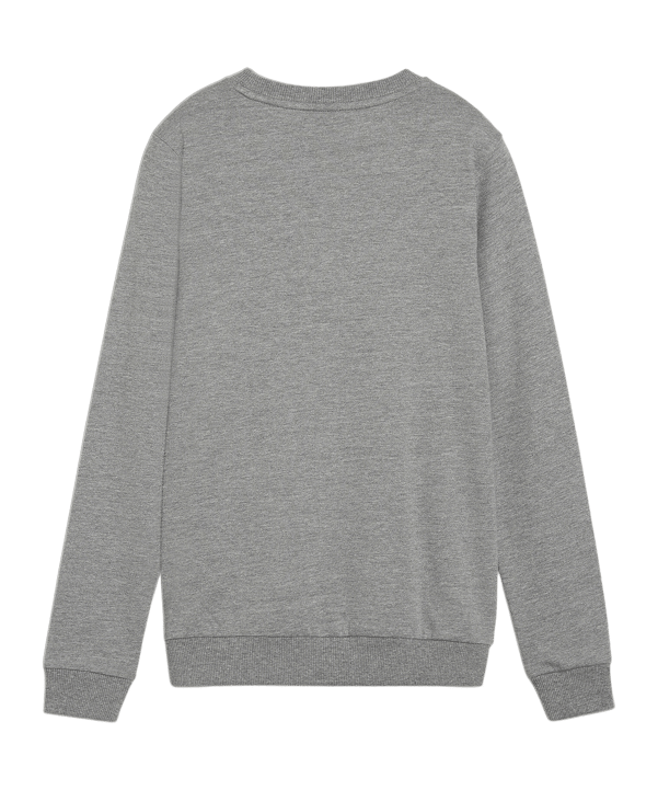 PUMA teamGOAL Casuals Sweatshirt Damen Grau F33 - grau