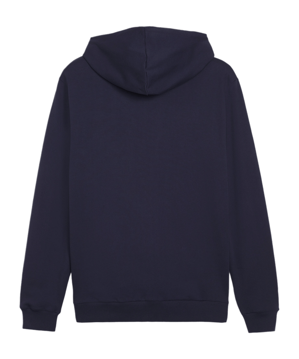 PUMA teamGOAL Casuals Kapuzenjacke Kids Blau F06 - blau