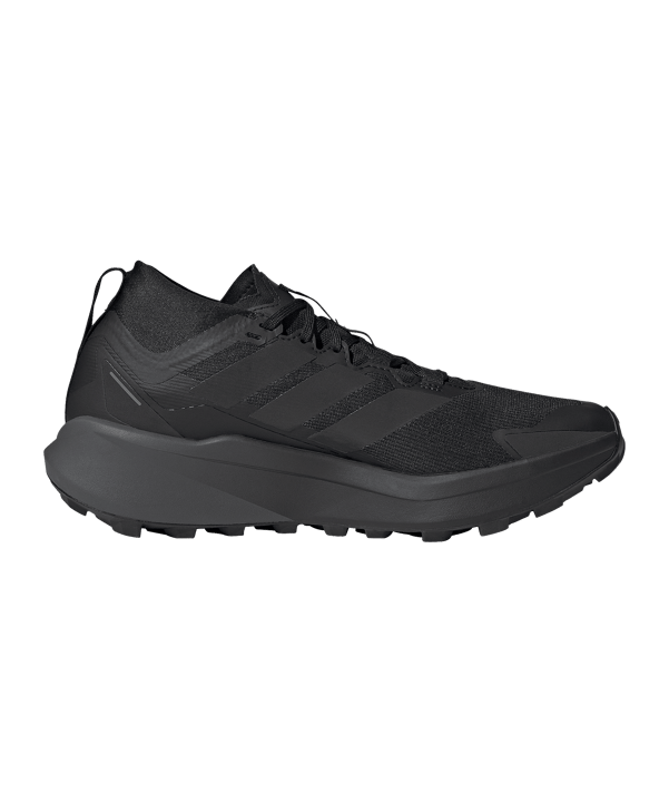 adidas Terrex Agravic Gtx Trailsschuh Schwarz - schwarz