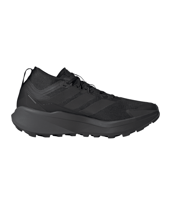 adidas Terrex Agravic Gtx Trailsschuh Schwarz