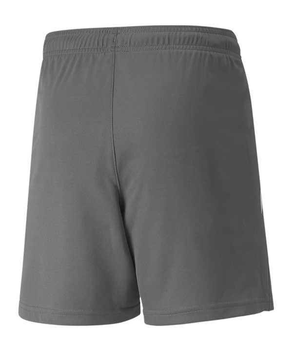 PUMA teamLIGA Short Kids Grau Weiss F13 - grau