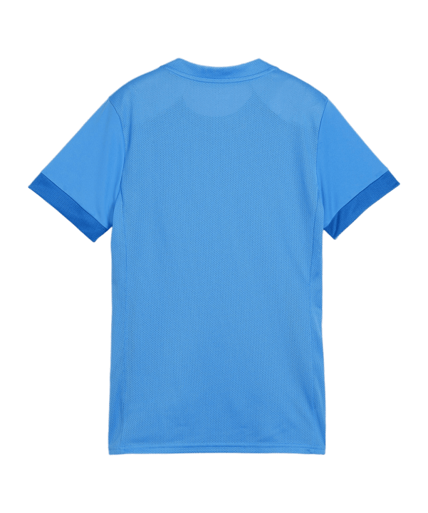 PUMA teamGOAL Matchday Trikot Damen Blau Weiss F02 - blau