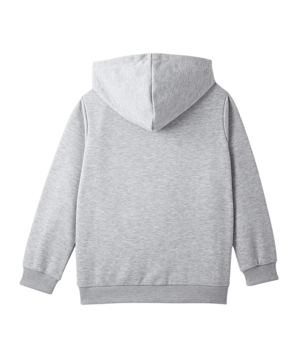 Galatasaray Istanbul Big Logo Sweatshirt Kids Grau - grau