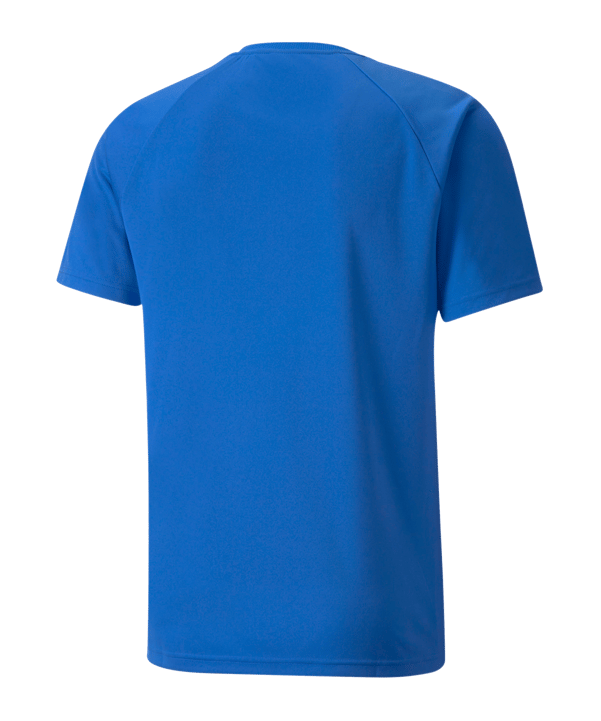 PUMA teamLIGA Striped Trikot Blau Schwarz F02 - blau