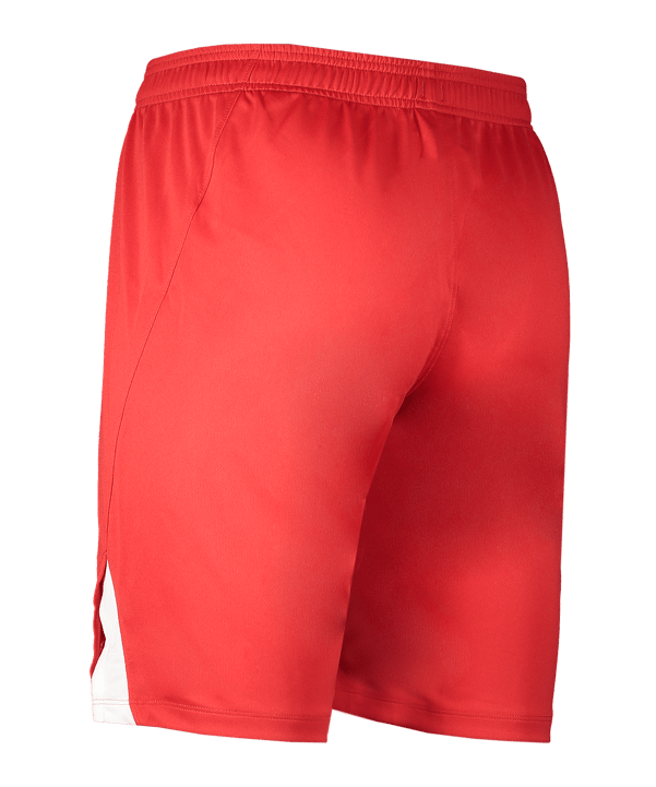 Nike Team Spike Short Rot F657 - rot
