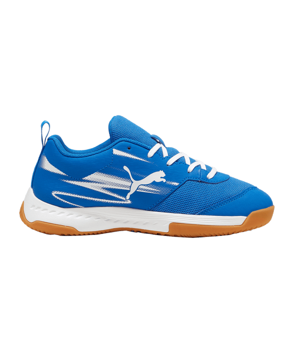 PUMA Varion II Schuh Kids Blau F03 - blau