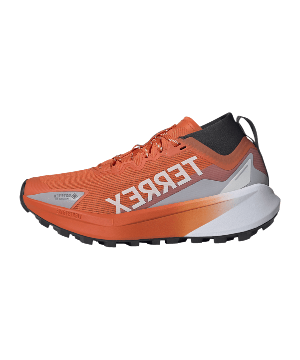 adidas Dames Terrex Agravic GTX Loopschoen Wit - wit