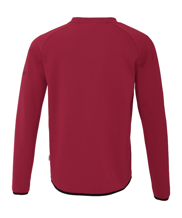 uhlsport ID Sweatshirt Rot F64 - rot