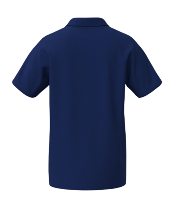 Erima CMPT Wings Polo Blau - blau