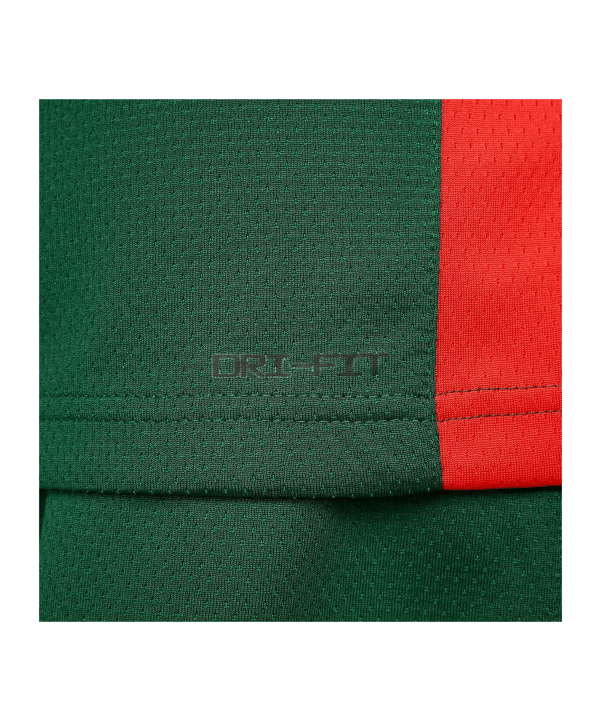 Nike Litauen Limited Trikot Olympia 2024 Grün F341 - gruen