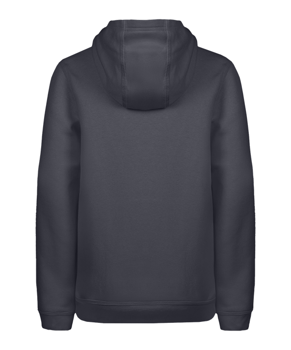 Nike Park 26 Hoody Kids Grau F071 - grau