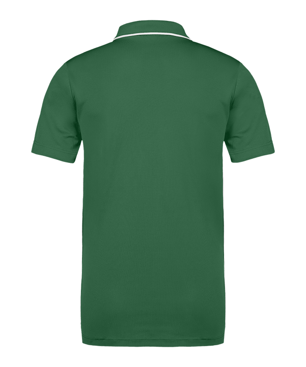 Nike Park 26 Polo Kids Grün F302 - gruen