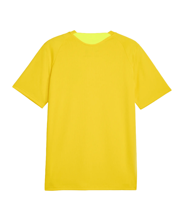 PUMA Borussia Dortmund Training Trikot Gelb F02
