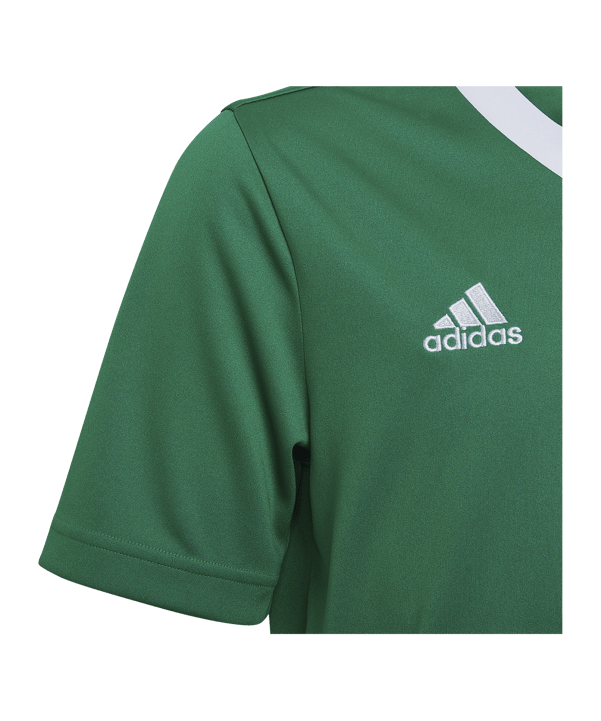 adidas Entrada 22 Trikot Kids Grün - gruen