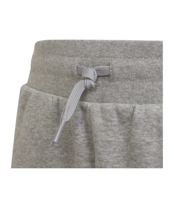 adidas Originals Adicolor Shorts Grey - grau