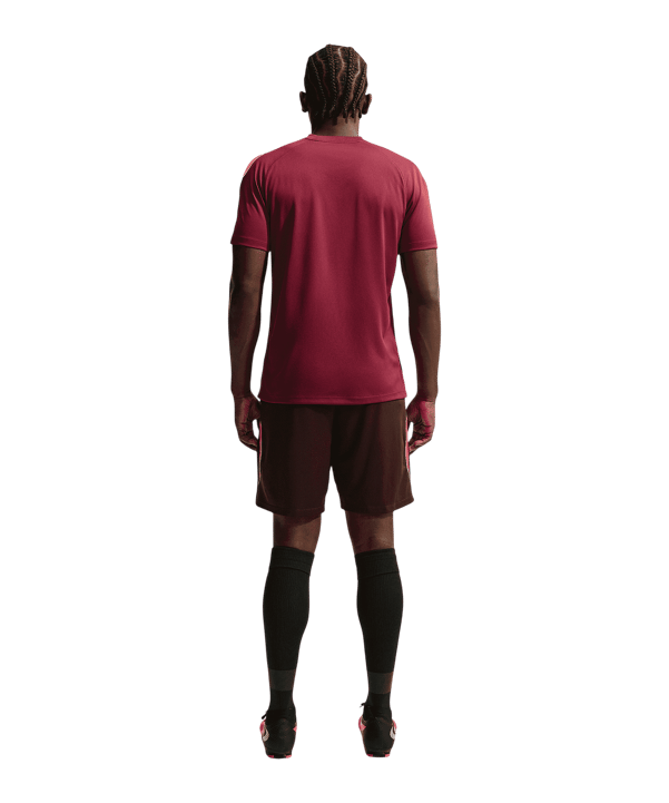 Nike Strike Trainingsshirt Rot F677 - rot