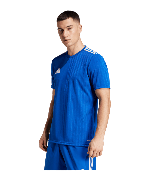 adidas Squadra 25 Trikot Blau - blau