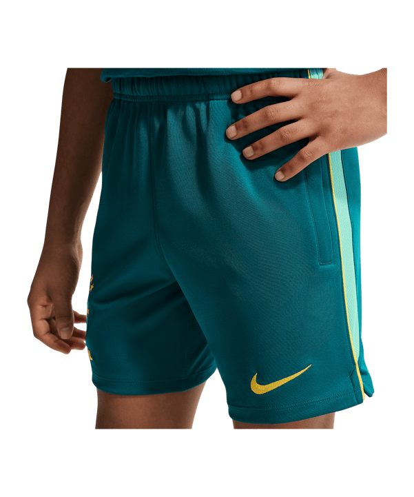 Nike CBF Brasilien Academy Pro Short Kids Grün F381 - gruen