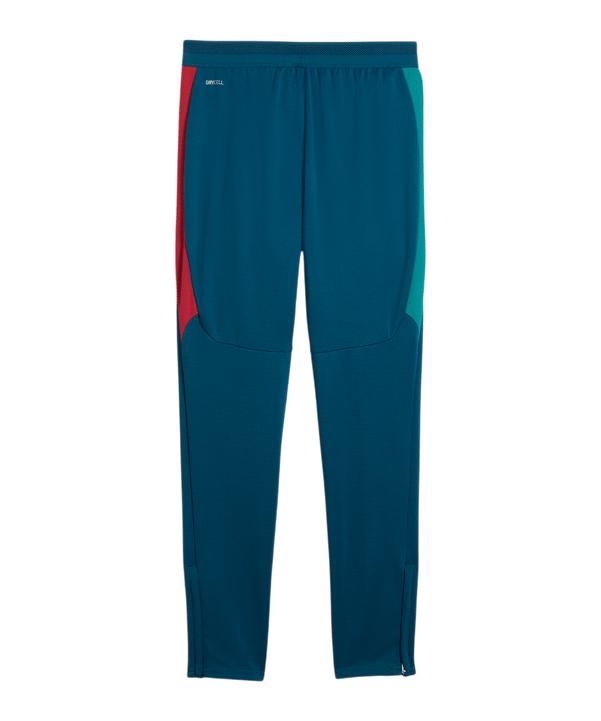 PUMA FPF Portugal Trainingshose Kids Blau F15 - blau