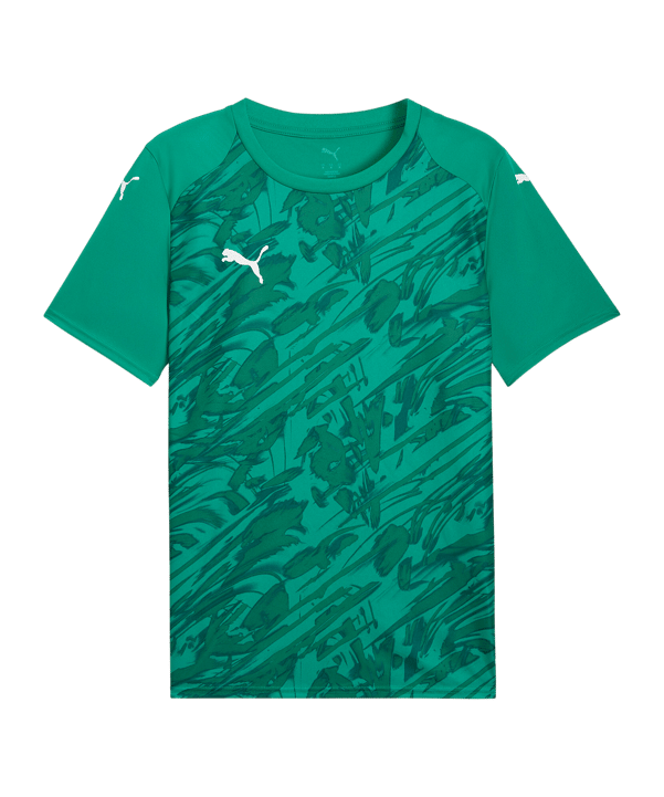 PUMA teamFINAL Graphic Trikot Grün F05 - gruen