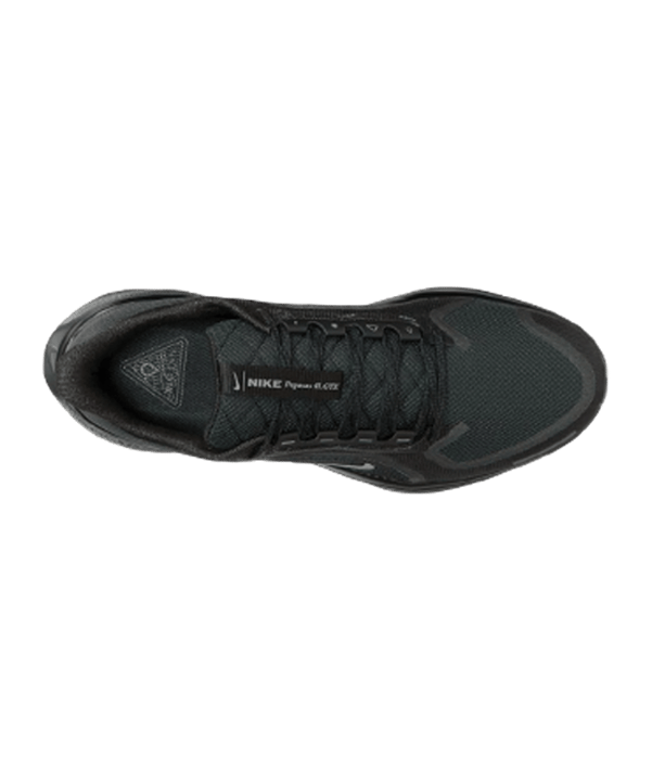Nike Chaussure de running Noir C001 - noir