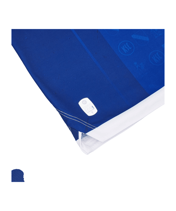 Macron Karlsruher SC Trikot Home 2024/2025 Blau - blau