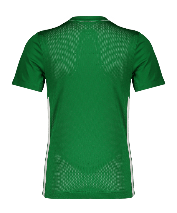 Nike Park Derby IV Trikot Kids Grün F302 - gruen
