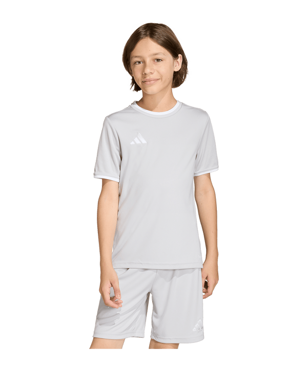 adidas Entrada 26 Trikot Kids Grau - grau