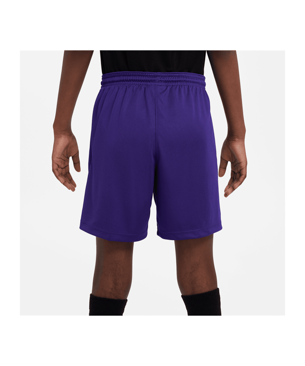 Nike Park III Short Kids Lila F547