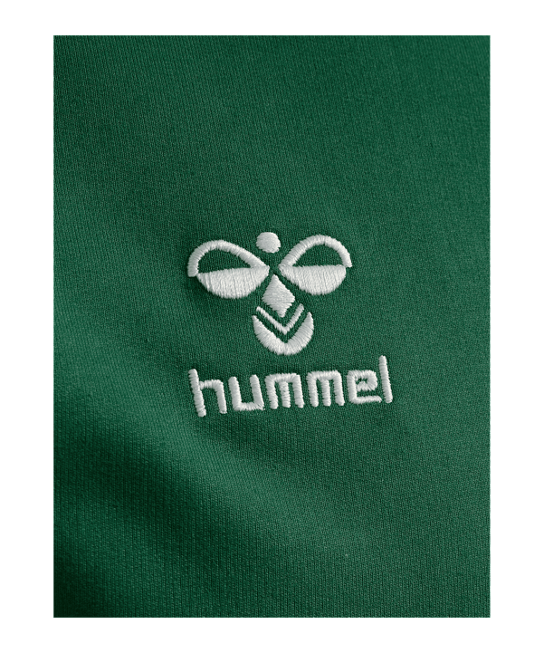 Hummel GO 2.0 Kapuzenjacke Grün F6140 - gruen