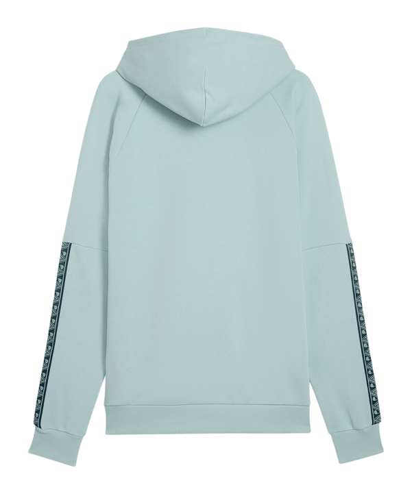 PUMA ÖFB Austria King Hoody Verde C23 - verde
