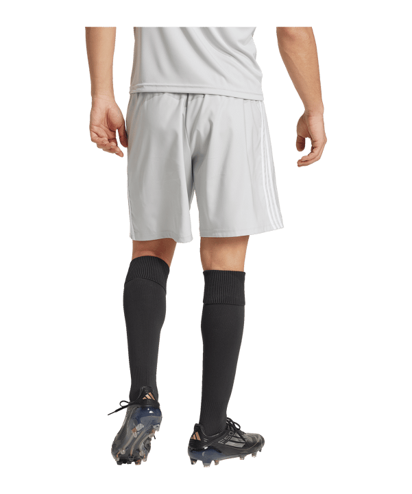 adidas Tastigo 25 Short Grau - grau