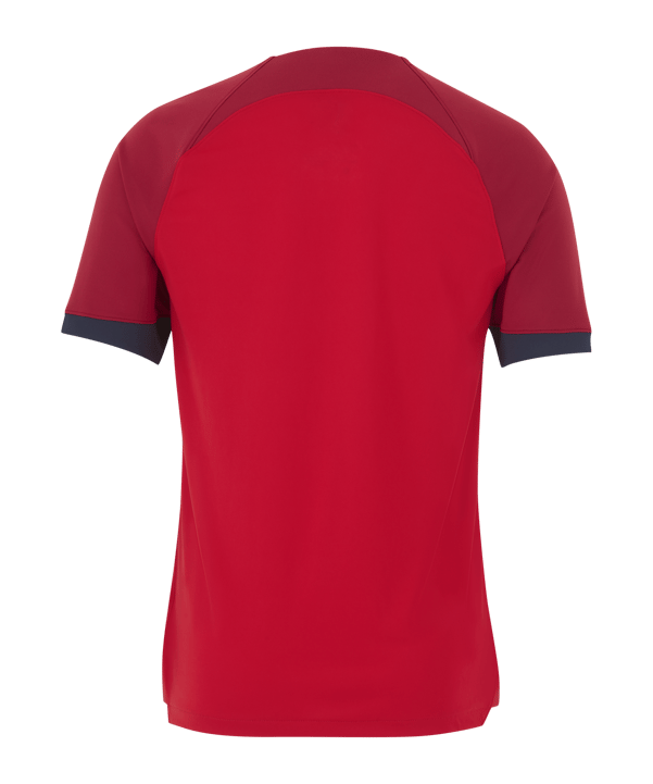 Nike Hertha BSC Trikot 3rd 2023/2024 Rot F611 - rot
