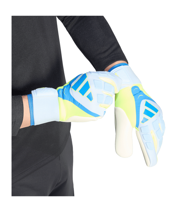 adidas Predator Competition Torwarthandschuhe Blau
