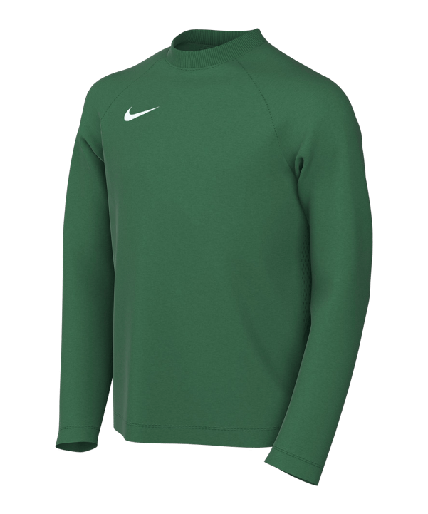 Nike Park VIII Trikot langarm Kids Grün F302 - gruen