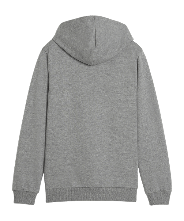 PUMA teamGOAL Casuals Hoody Kids Grau F33 - grau