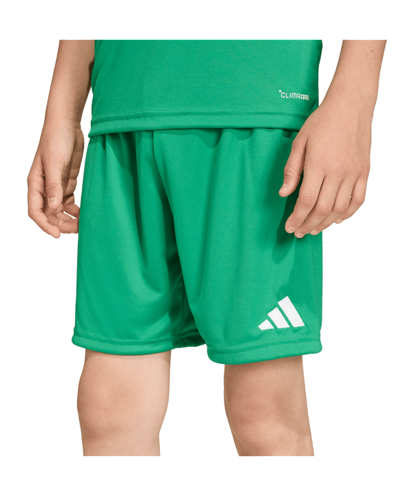 adidas Entrada 26 Short Kids Grün - gruen