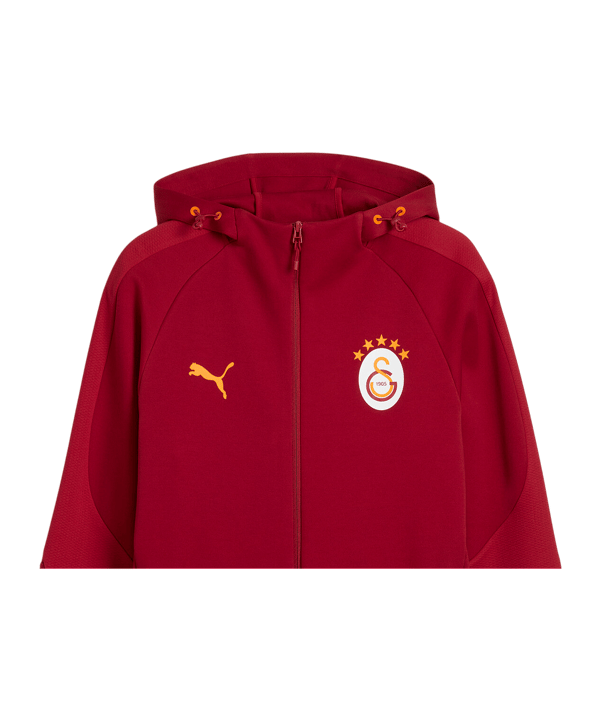 PUMA Galatasaray Istanbul Evostripe Kapuzenjacke Rot F01 - rot