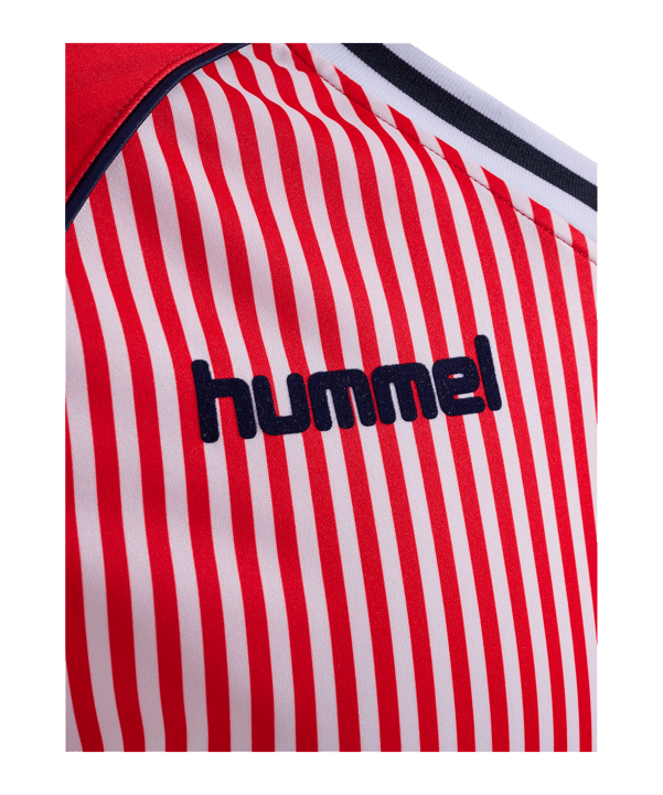 hummel DBU 86 Replica Trikot Rot F3148 - rot