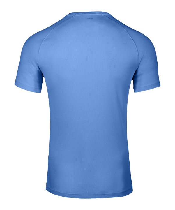 Nike Park VIII Trikot Blau F412 - blau
