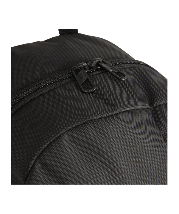 PUMA teamGOAL Rucksack Schwarz F01 - schwarz