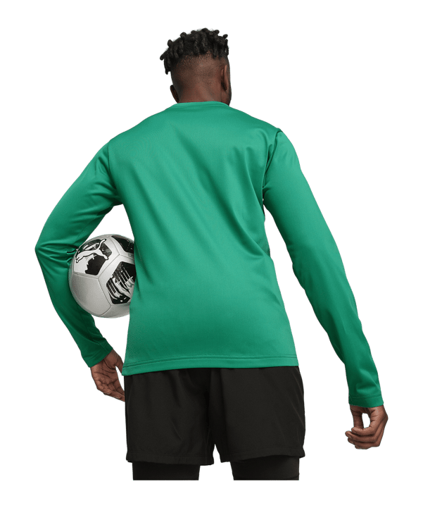 PUMA teamGOAL Training Sweatshirt Grün F05 - gruen