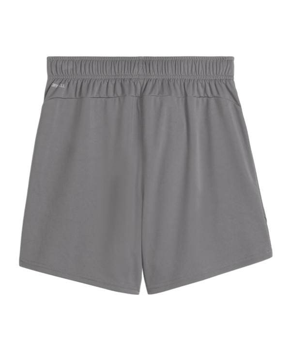 PUMA teamGOAL Short Damen Grau Weiss F13 - grau